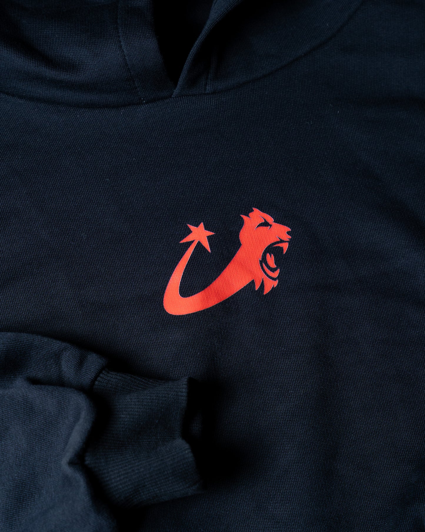 100% MADE IN ITALY COTTON HOODY